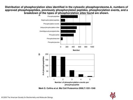 Distribution of phosphorylation sites identified in the cytosolic phosphoproteome.A, numbers of approved phosphopeptides, previously phosphorylated peptides,