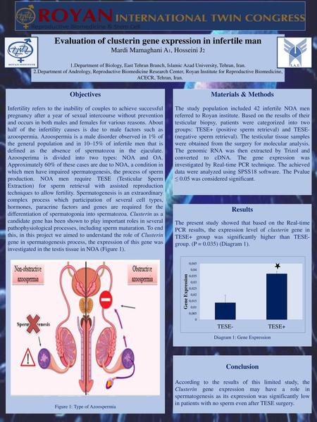 Evaluation of clusterin gene expression in infertile man