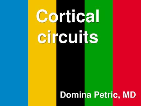 Cortical circuits Domina Petric, MD.