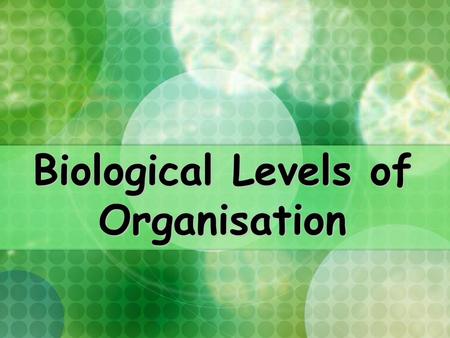 Biological Levels of Organisation