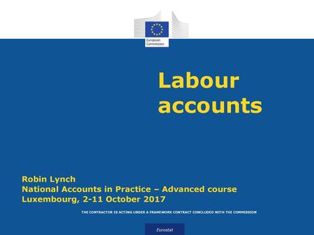 Labour accounts Robin Lynch