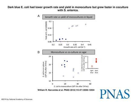 Dark blue E. coli had lower growth rate and yield in monoculture but grew faster in coculture with S. enterica. Dark blue E. coli had lower growth rate.