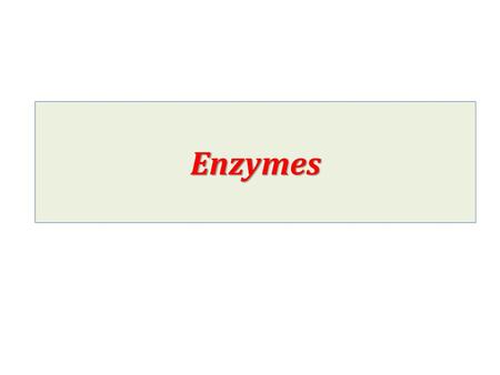 Enzymes.