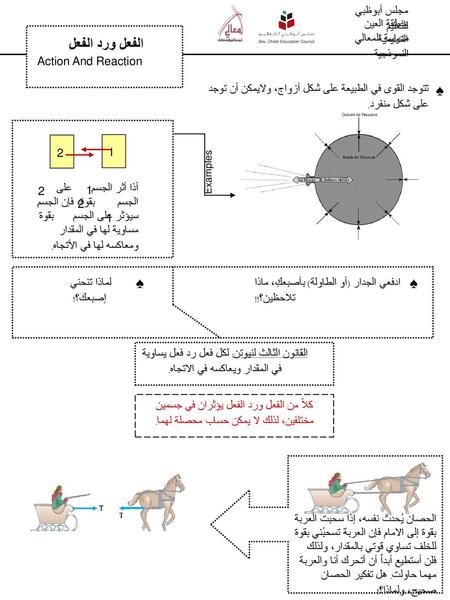 الفعل ورد الفعل ♠ ♠ ♠ مجلس أبوظبي للتعليم منطقة العين التعليمية