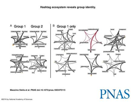 Hashtag ecosystem reveals group identity.