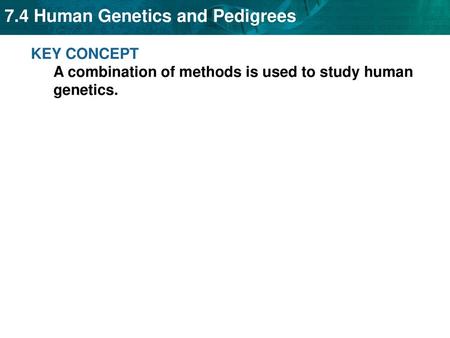 KEY CONCEPT  A combination of methods is used to study human genetics.