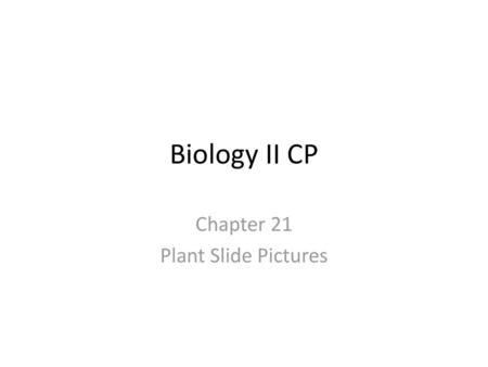 Chapter 21 Plant Slide Pictures