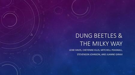 Dung Beetles & the Milky Way