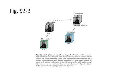 Fig. S2-B FigureS2. Trade-off between spatial and temporal information. Solid connectors represent spatially reduced versions, while dashed connectors.
