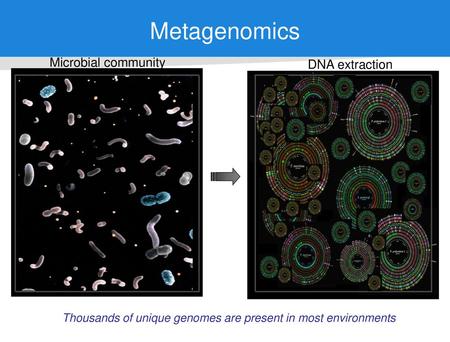 Metagenomics Microbial community DNA extraction