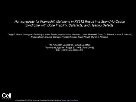 Homozygosity for Frameshift Mutations in XYLT2 Result in a Spondylo-Ocular Syndrome with Bone Fragility, Cataracts, and Hearing Defects  Craig F. Munns,