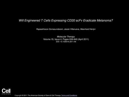 Will Engineered T Cells Expressing CD20 scFv Eradicate Melanoma?