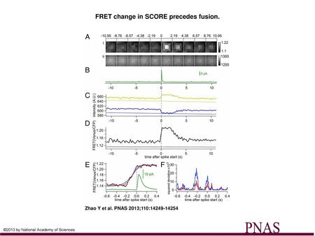 FRET change in SCORE precedes fusion.