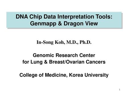 DNA Chip Data Interpretation Tools: Genmapp & Dragon View