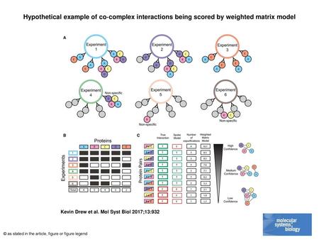 Hypothetical example of co‐complex interactions being scored by weighted matrix model Hypothetical example of co‐complex interactions being scored by weighted.