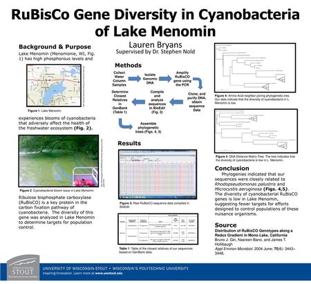 RuBisCo Gene Diversity in Cyanobacteria of Lake Menomin