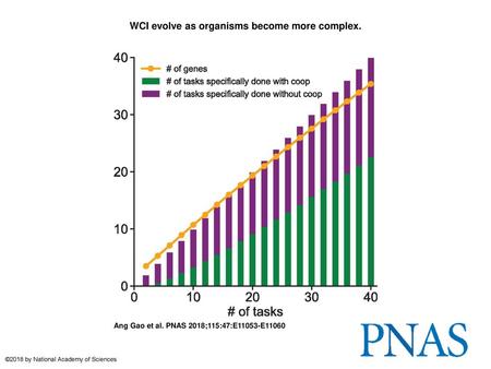 WCI evolve as organisms become more complex.