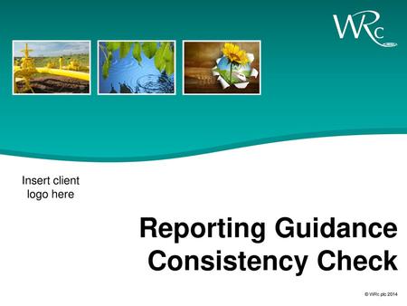 Reporting Guidance Consistency Check