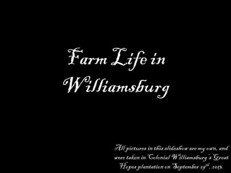 Farm Life in Williamsburg