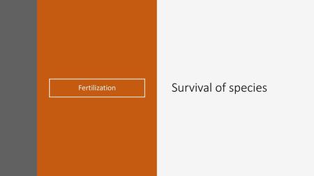 Survival of species Fertilization.