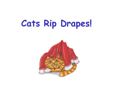 Cats Rip Drapes!.