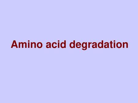 Amino acid degradation