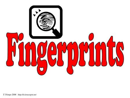 Fingerprints T. Trimpe 2006 http://sciencespot.net.