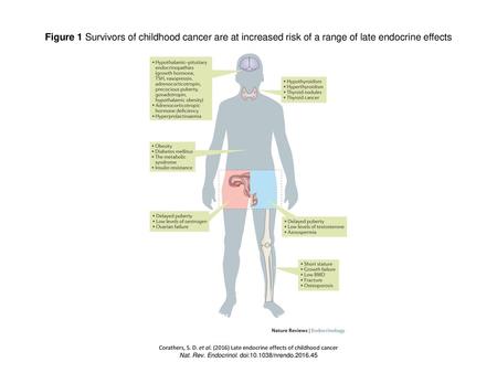 Nat. Rev. Endocrinol. doi: /nrendo