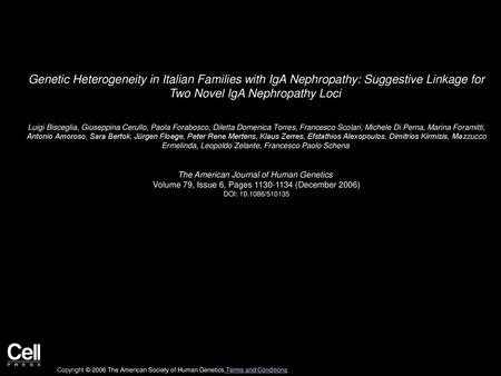 Genetic Heterogeneity in Italian Families with IgA Nephropathy: Suggestive Linkage for Two Novel IgA Nephropathy Loci  Luigi Bisceglia, Giuseppina Cerullo,