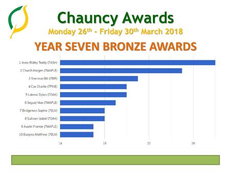 YEAR SEVEN BRONZE AWARDS