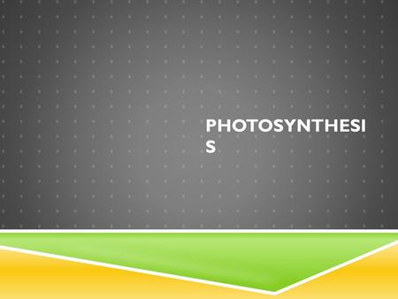 Photosynthesis.