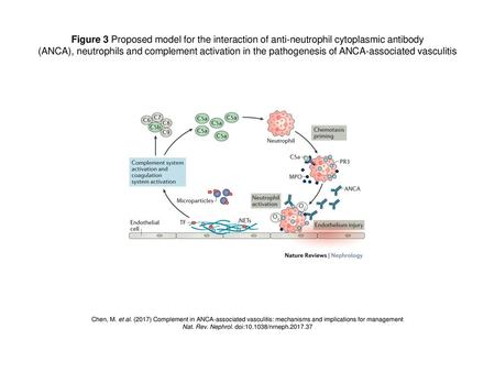 Nat. Rev. Nephrol. doi: /nrneph