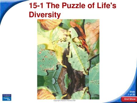 15-1 The Puzzle of Life's Diversity