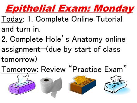 Epithelial Exam: Monday