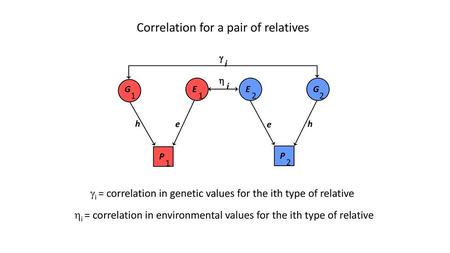 Correlation for a pair of relatives