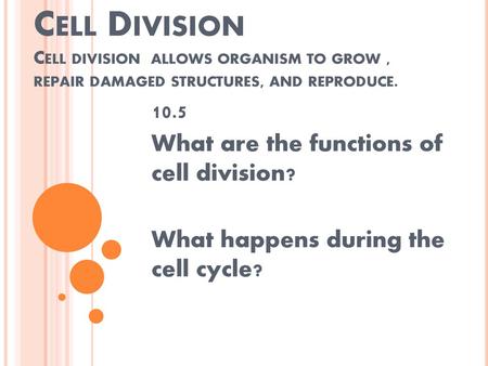 10.5 What are the functions of  cell division?