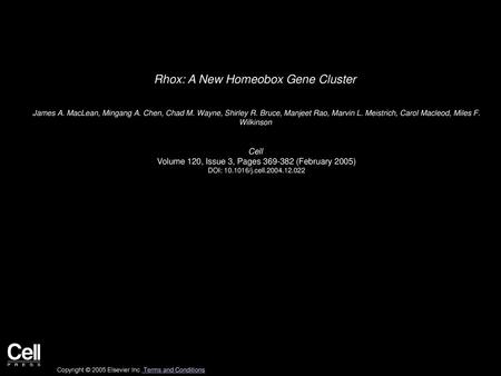 Rhox: A New Homeobox Gene Cluster