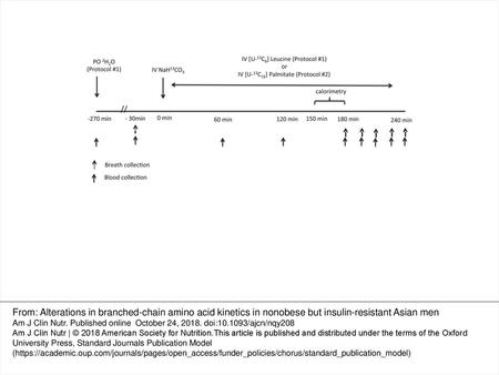 FIGURE 1 Schematic of stable-isotope infusion studies performed for the measurement of BCAA and FFA kinetics. In study protocol 1, BCAA kinetics in 14.