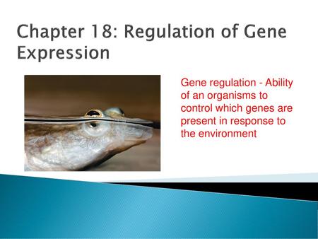 Chapter 18: Regulation of Gene Expression