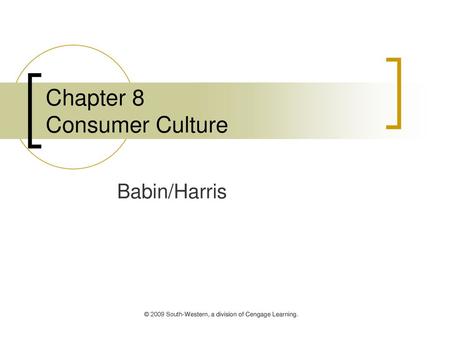 Chapter 8 Consumer Culture