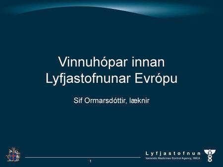 Vinnuhópar innan Lyfjastofnunar Evrópu