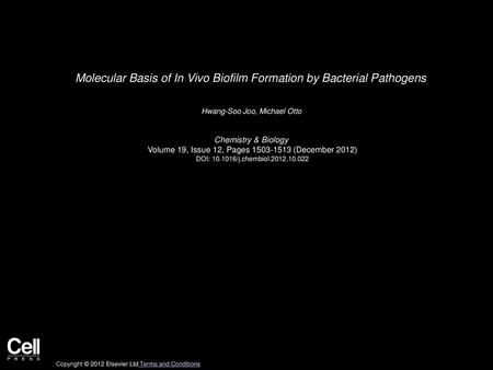 Molecular Basis of In Vivo Biofilm Formation by Bacterial Pathogens