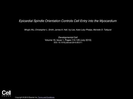 Epicardial Spindle Orientation Controls Cell Entry into the Myocardium