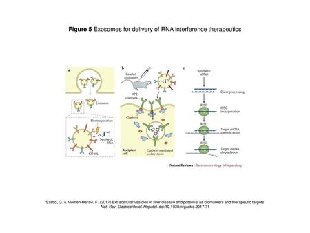 Figure 5 Exosomes for delivery of RNA interference therapeutics