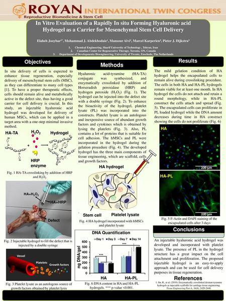 In Vitro Evaluation of a Rapidly In situ Forming Hyaluronic acid Hydrogel as a Carrier for Mesenchymal Stem Cell Delivery Elaheh Jooybar1*, Mohammad J.