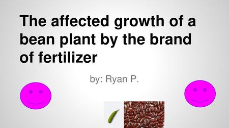 The affected growth of a bean plant by the brand of fertilizer