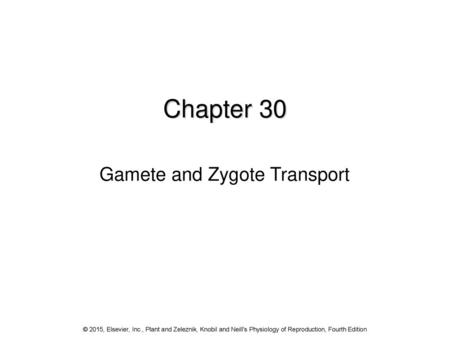 Gamete and Zygote Transport