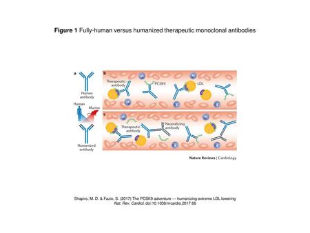 Nat. Rev. Cardiol. doi: /nrcardio