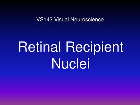 VS142 Visual Neuroscience