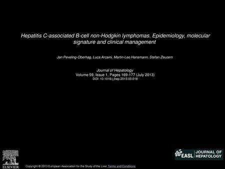 Hepatitis C-associated B-cell non-Hodgkin lymphomas